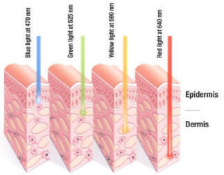 LED wave length for skin reproduction chart